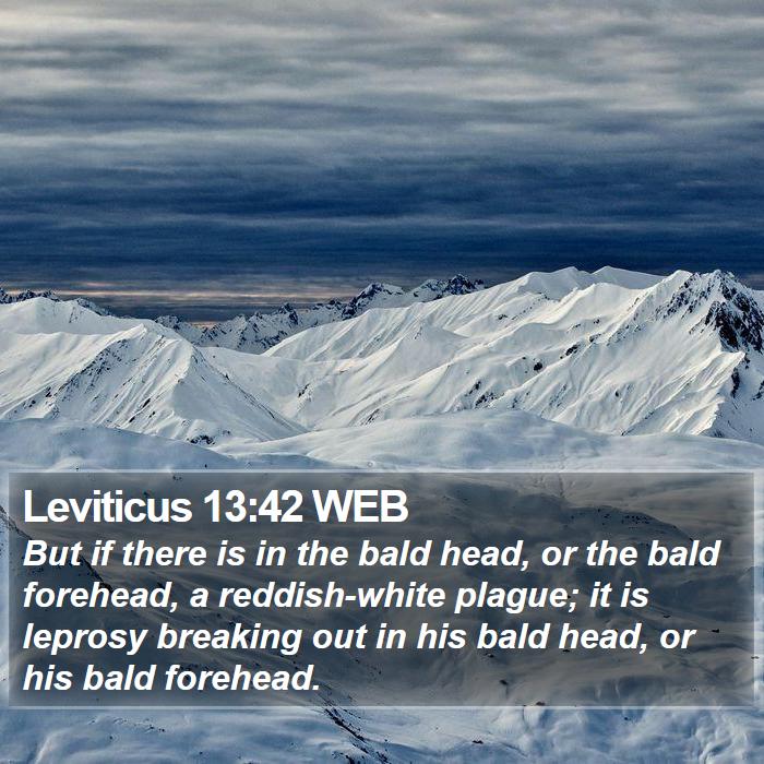 Leviticus 13:42 WEB Bible Study