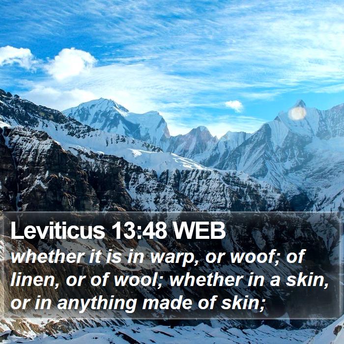 Leviticus 13:48 WEB Bible Study