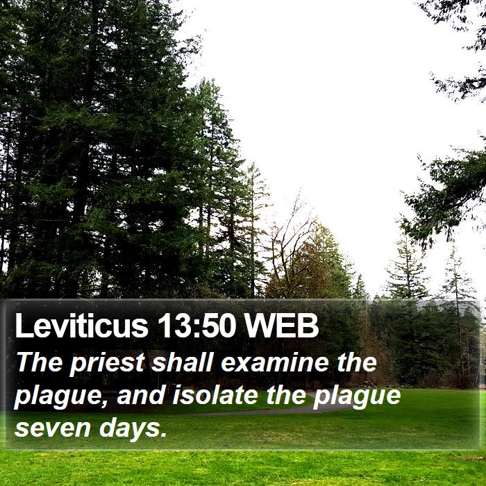 Leviticus 13:50 WEB Bible Study