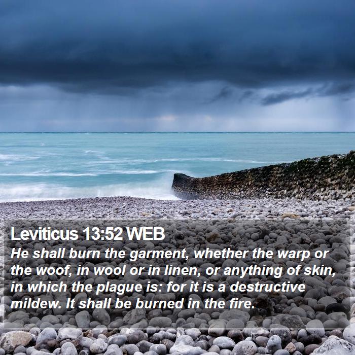 Leviticus 13:52 WEB Bible Study