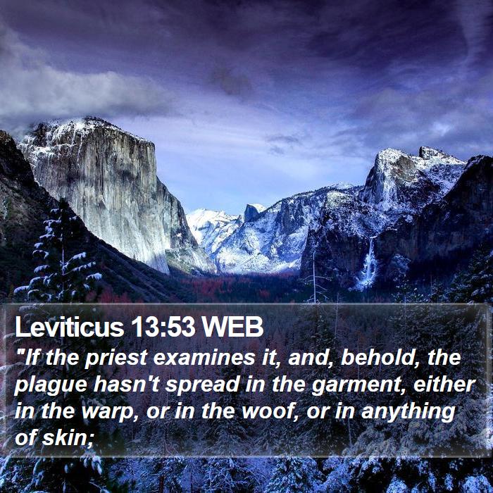 Leviticus 13:53 WEB Bible Study