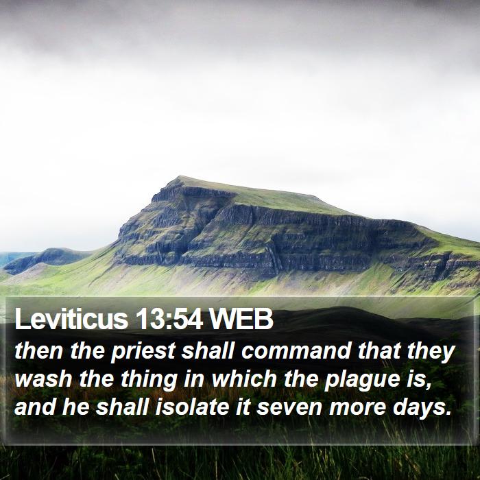 Leviticus 13:54 WEB Bible Study