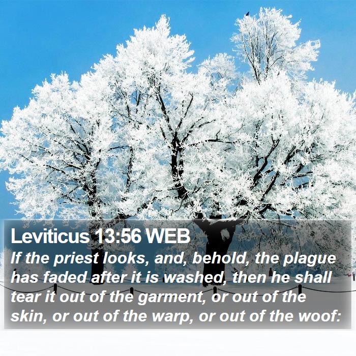 Leviticus 13:56 WEB Bible Study