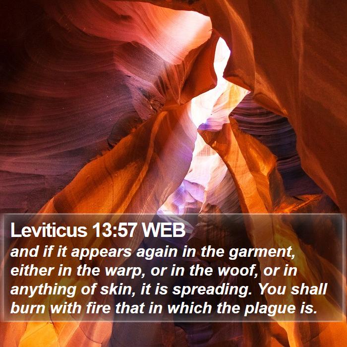 Leviticus 13:57 WEB Bible Study