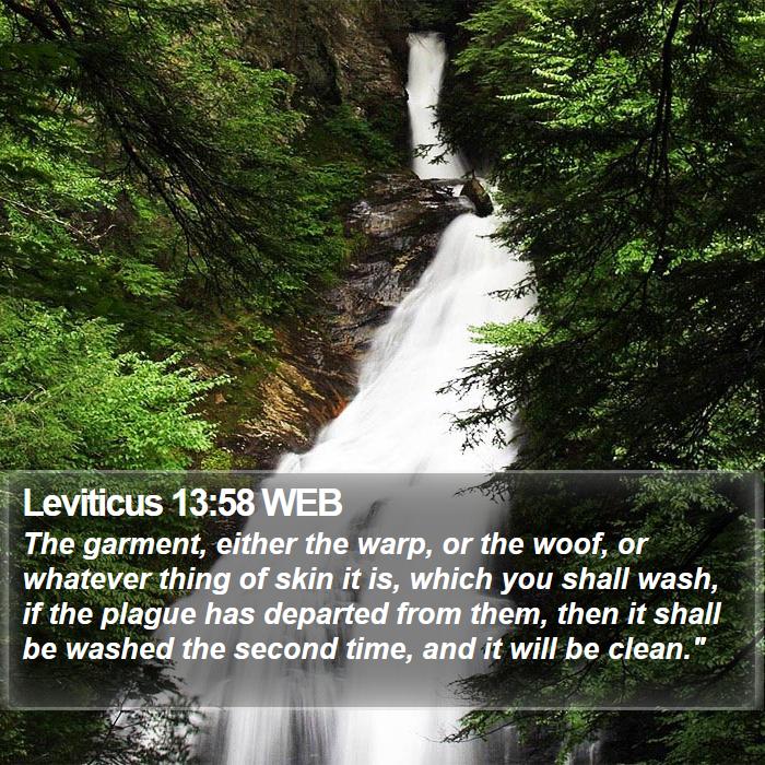 Leviticus 13:58 WEB Bible Study