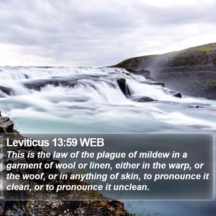 Leviticus 13:59 WEB Bible Study