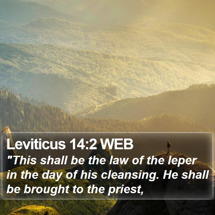 Leviticus 14:2 WEB Bible Study