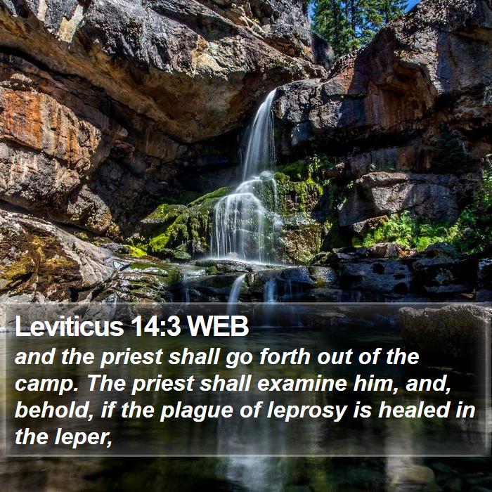 Leviticus 14:3 WEB Bible Study