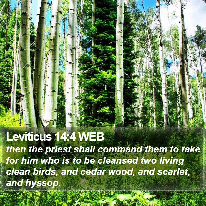 Leviticus 14:4 WEB Bible Study