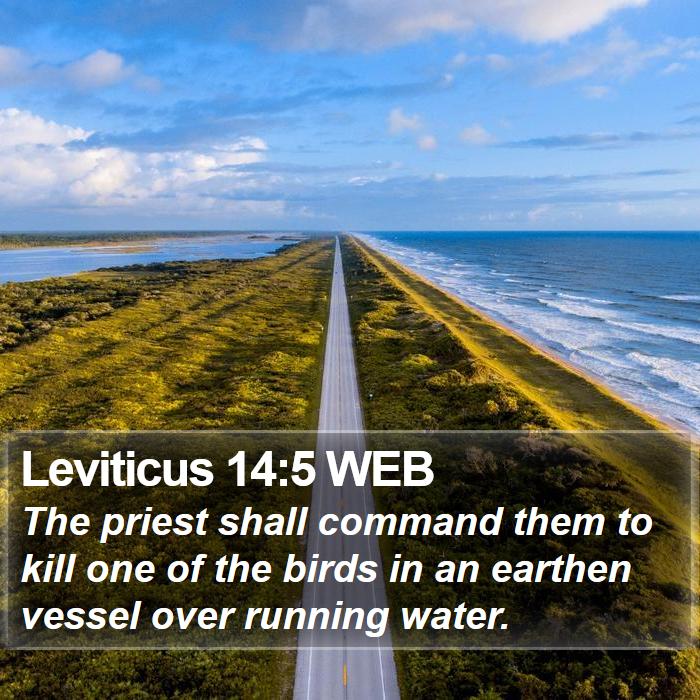 Leviticus 14:5 WEB Bible Study