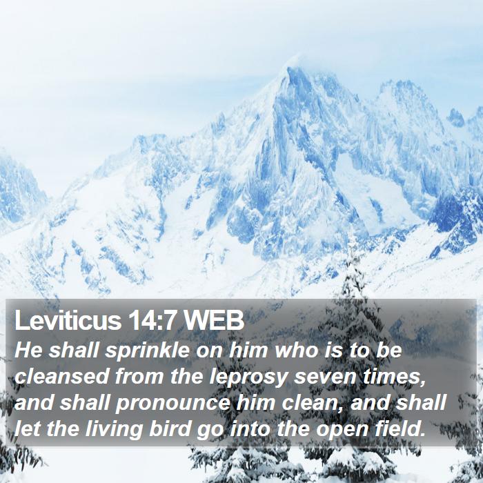 Leviticus 14:7 WEB Bible Study