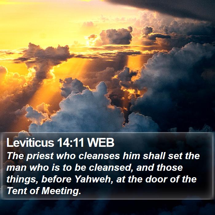 Leviticus 14:11 WEB Bible Study