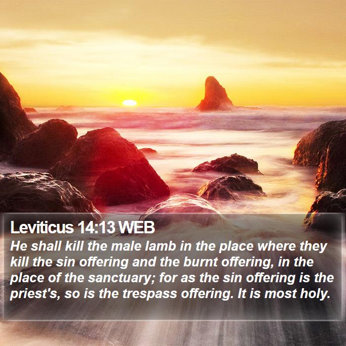 Leviticus 14:13 WEB Bible Study