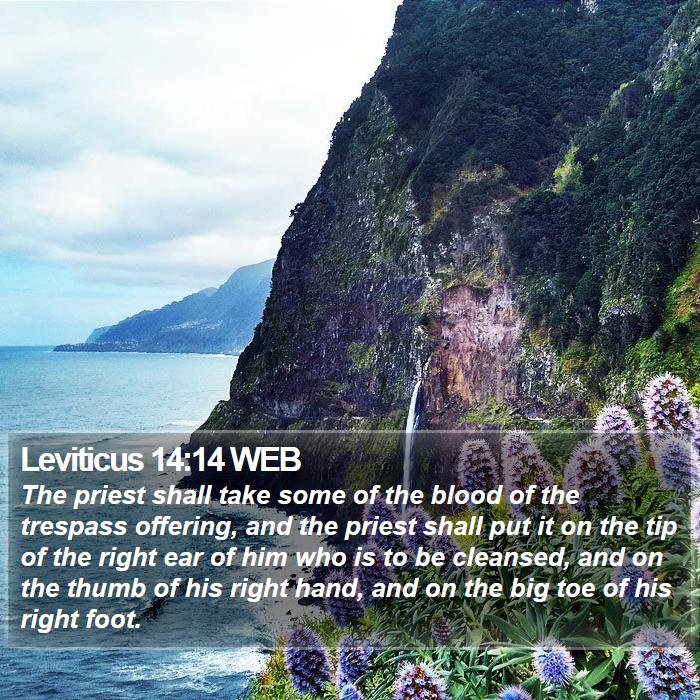 Leviticus 14:14 WEB Bible Study