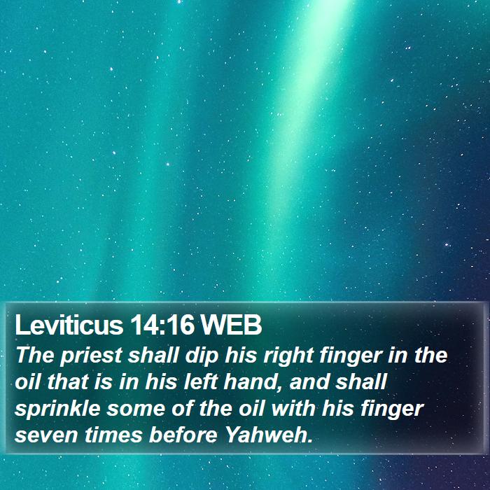 Leviticus 14:16 WEB Bible Study