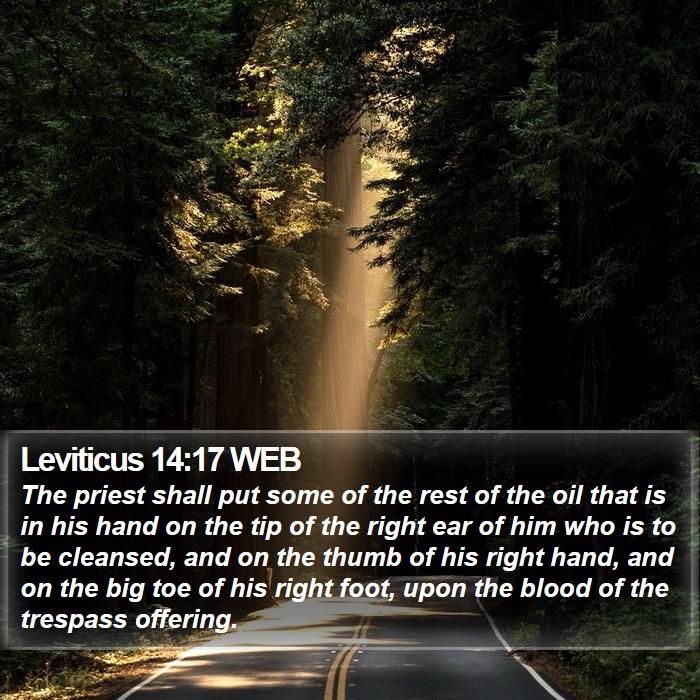 Leviticus 14:17 WEB Bible Study