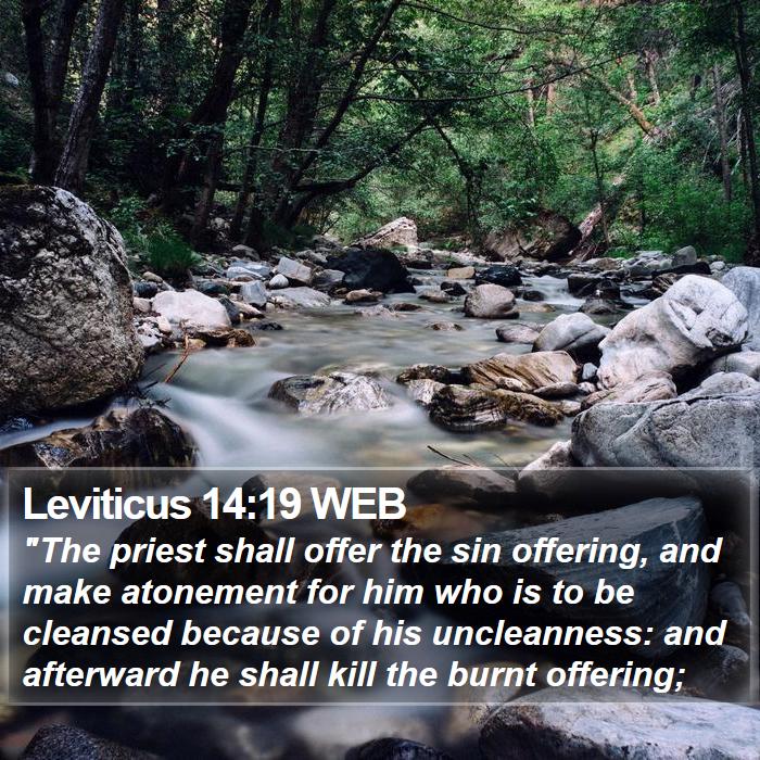 Leviticus 14:19 WEB Bible Study