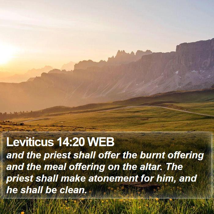 Leviticus 14:20 WEB Bible Study