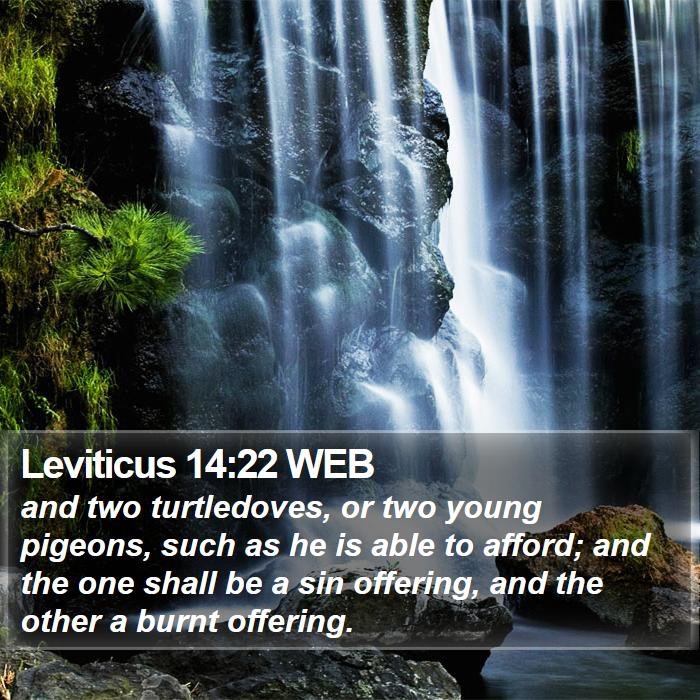 Leviticus 14:22 WEB Bible Study