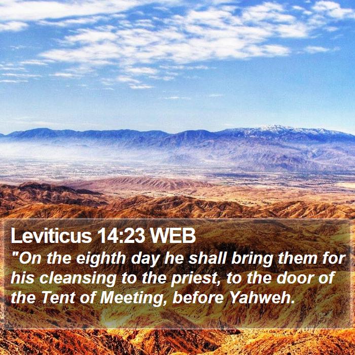 Leviticus 14:23 WEB Bible Study