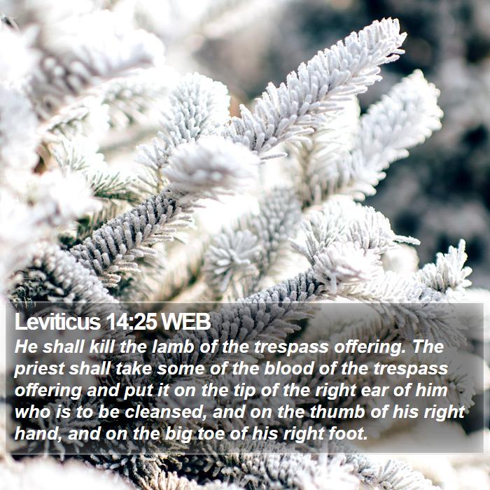 Leviticus 14:25 WEB Bible Study