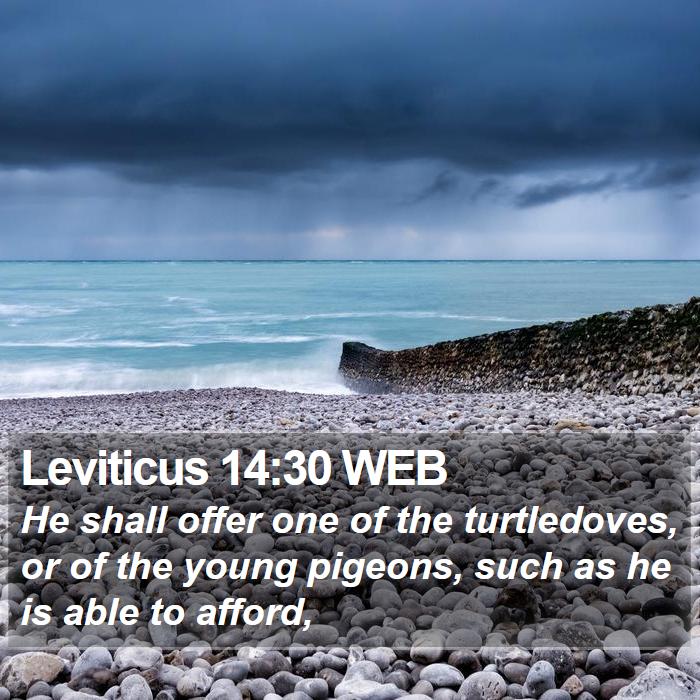 Leviticus 14:30 WEB Bible Study