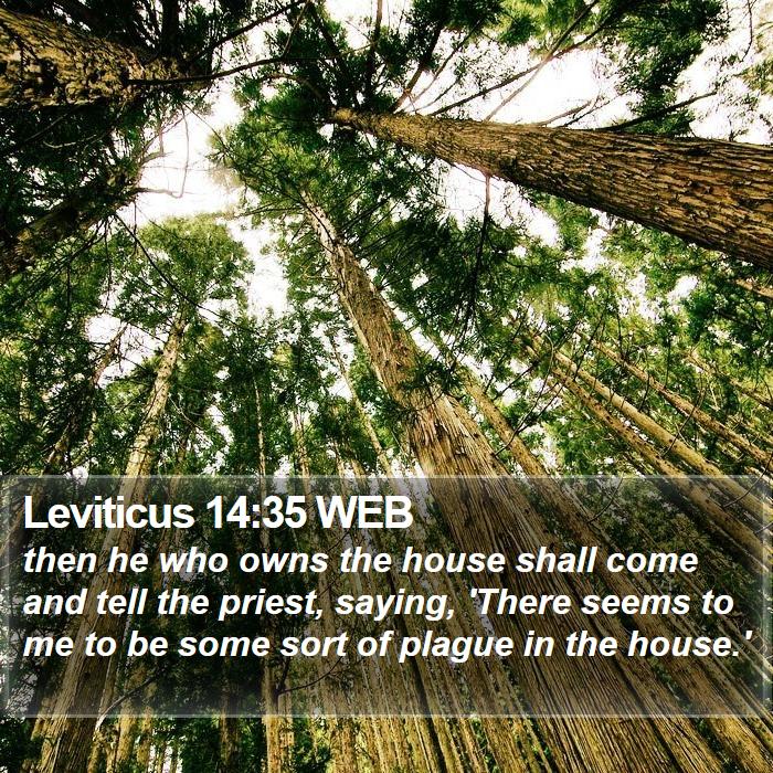 Leviticus 14:35 WEB Bible Study