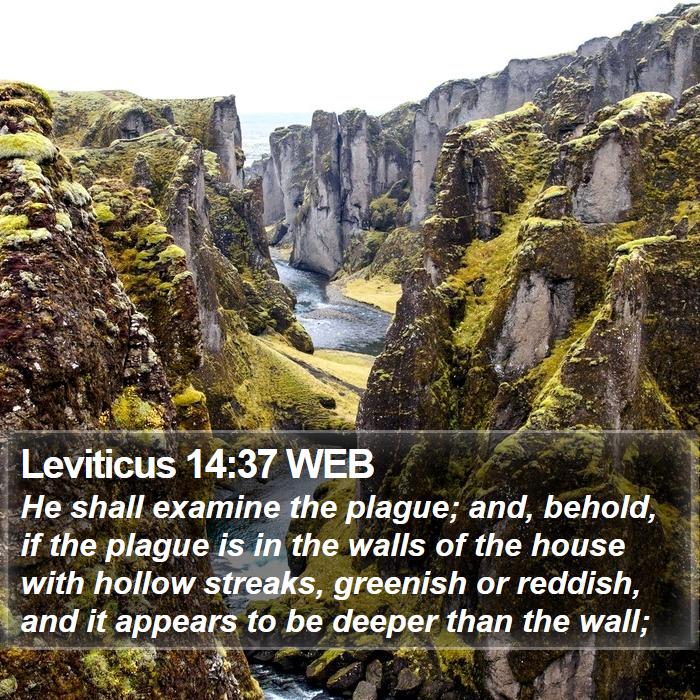 Leviticus 14:37 WEB Bible Study