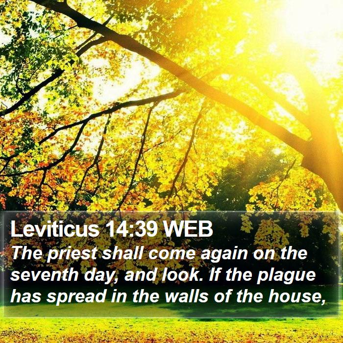 Leviticus 14:39 WEB Bible Study