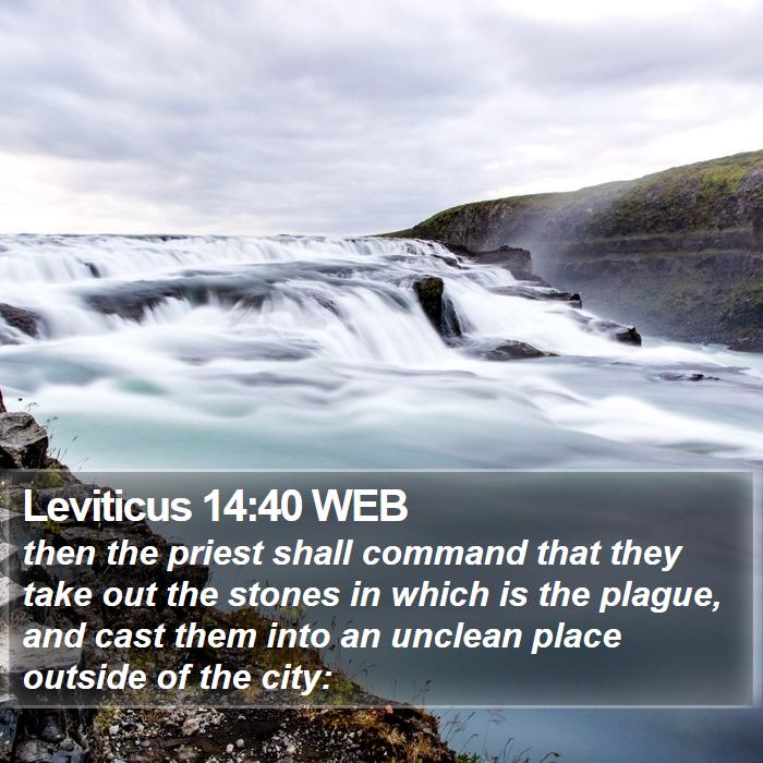 Leviticus 14:40 WEB Bible Study