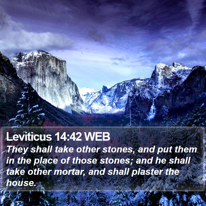 Leviticus 14:42 WEB Bible Study