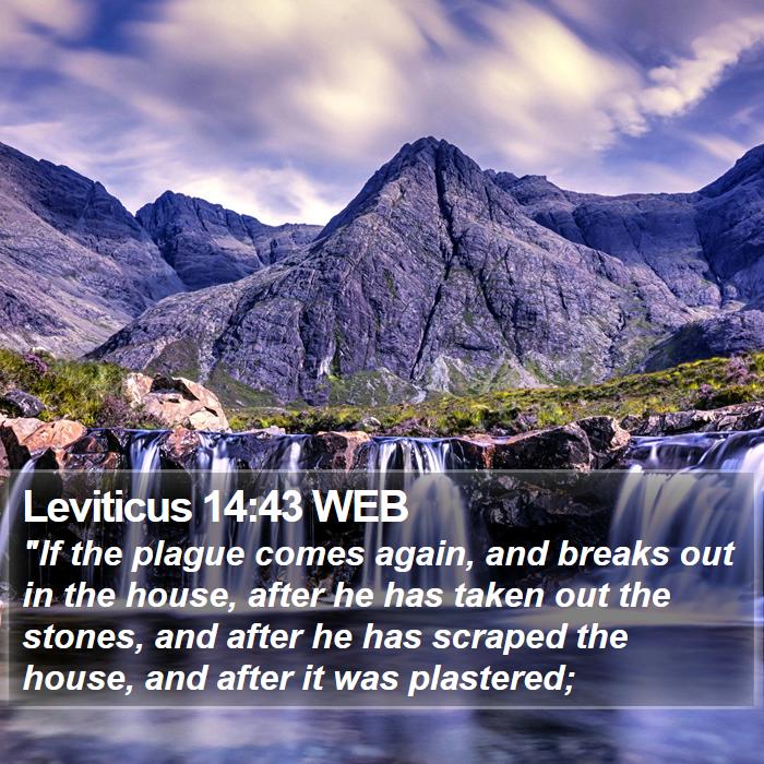 Leviticus 14:43 WEB Bible Study