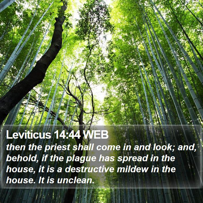 Leviticus 14:44 WEB Bible Study