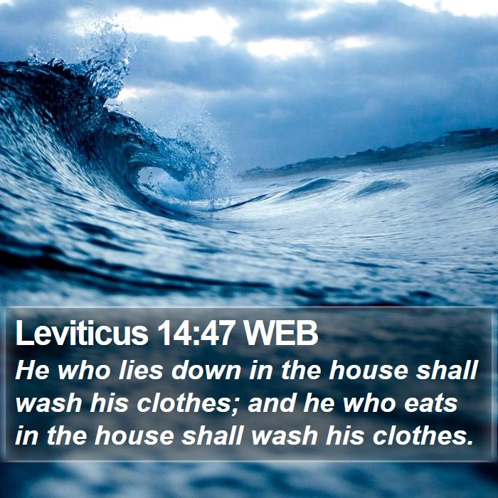 Leviticus 14:47 WEB Bible Study