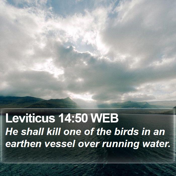 Leviticus 14:50 WEB Bible Study