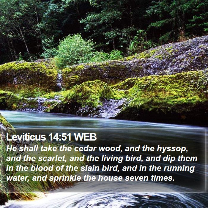 Leviticus 14:51 WEB Bible Study