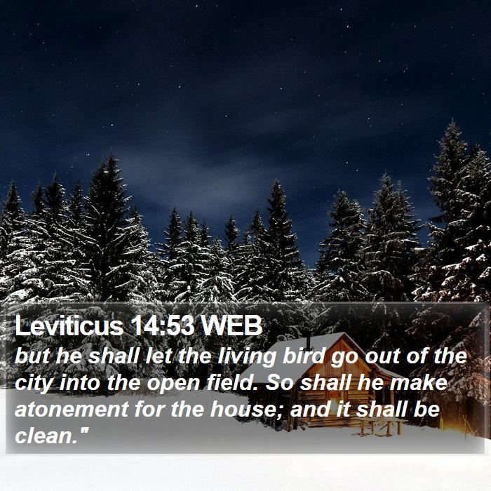 Leviticus 14:53 WEB Bible Study