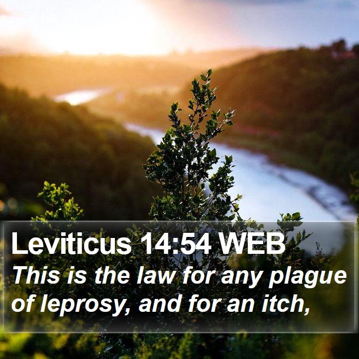 Leviticus 14:54 WEB Bible Study