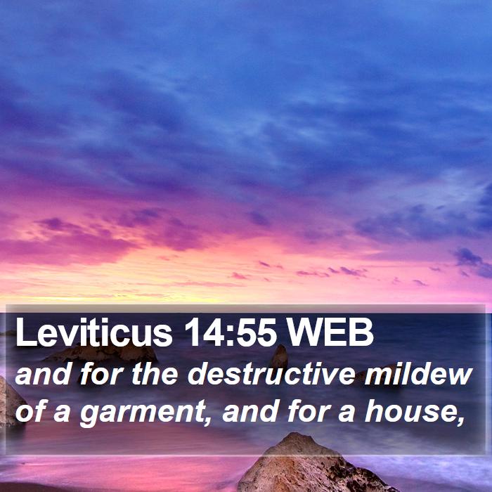 Leviticus 14:55 WEB Bible Study