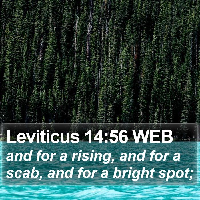 Leviticus 14:56 WEB Bible Study