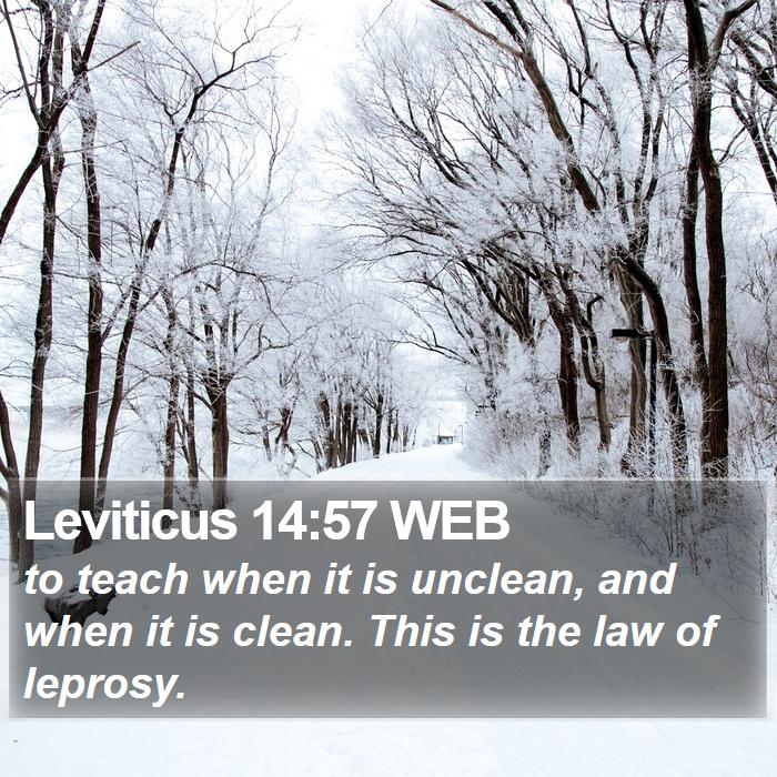 Leviticus 14:57 WEB Bible Study