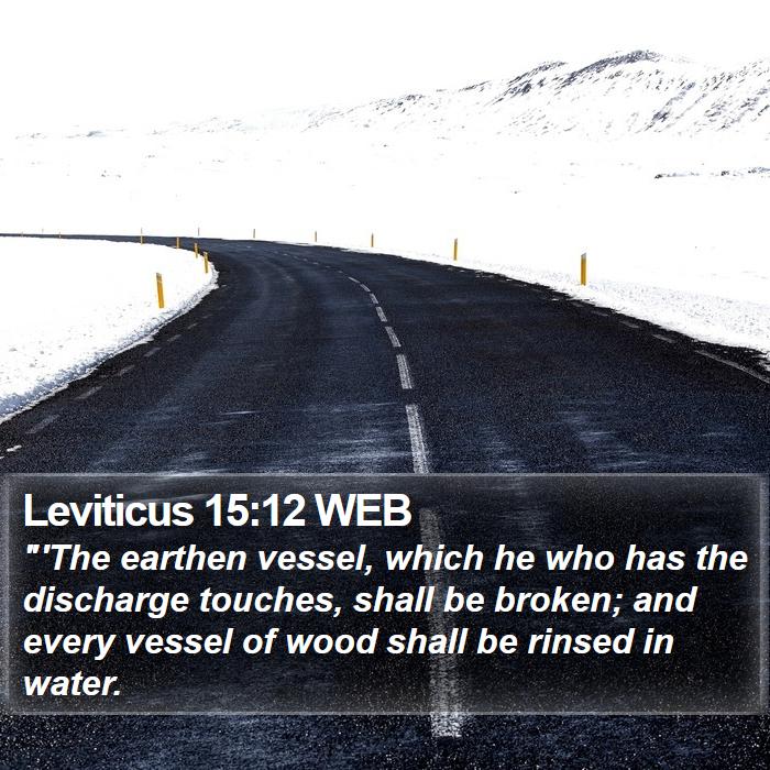 Leviticus 15:12 WEB Bible Study