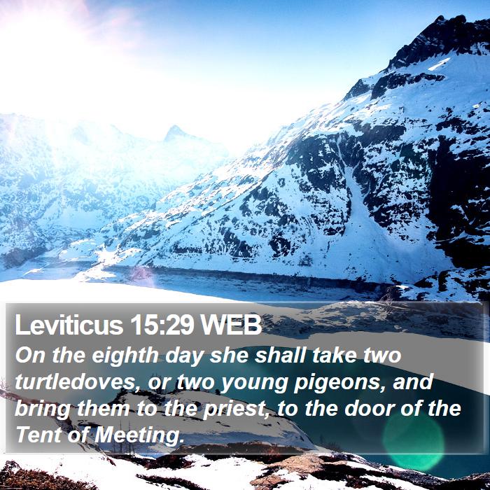 Leviticus 15:29 WEB Bible Study