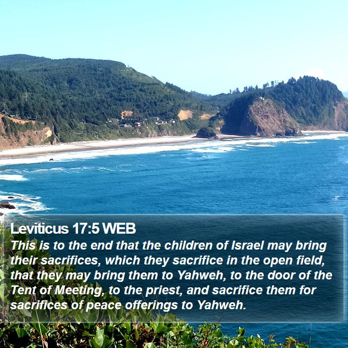 Leviticus 17:5 WEB Bible Study