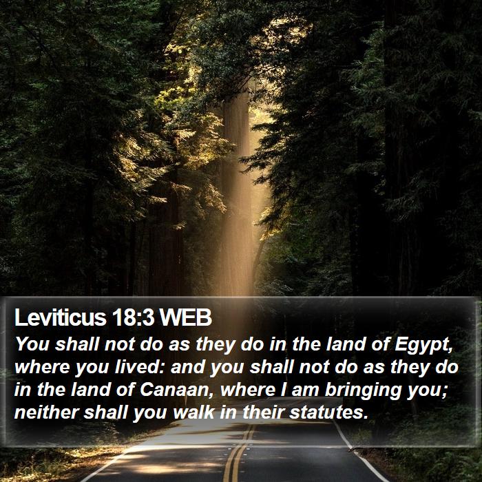 Leviticus 18:3 WEB Bible Study