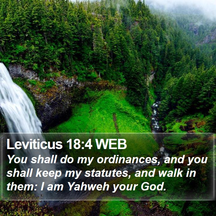 Leviticus 18:4 WEB Bible Study