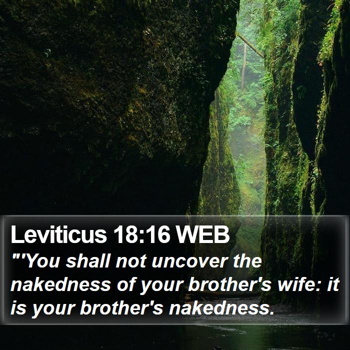 Leviticus 18:16 WEB Bible Study