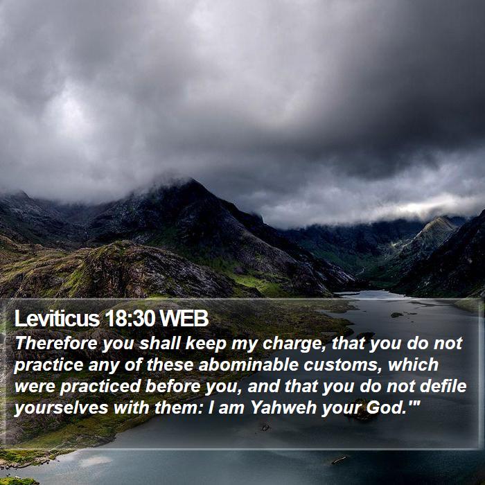 Leviticus 18:30 WEB Bible Study