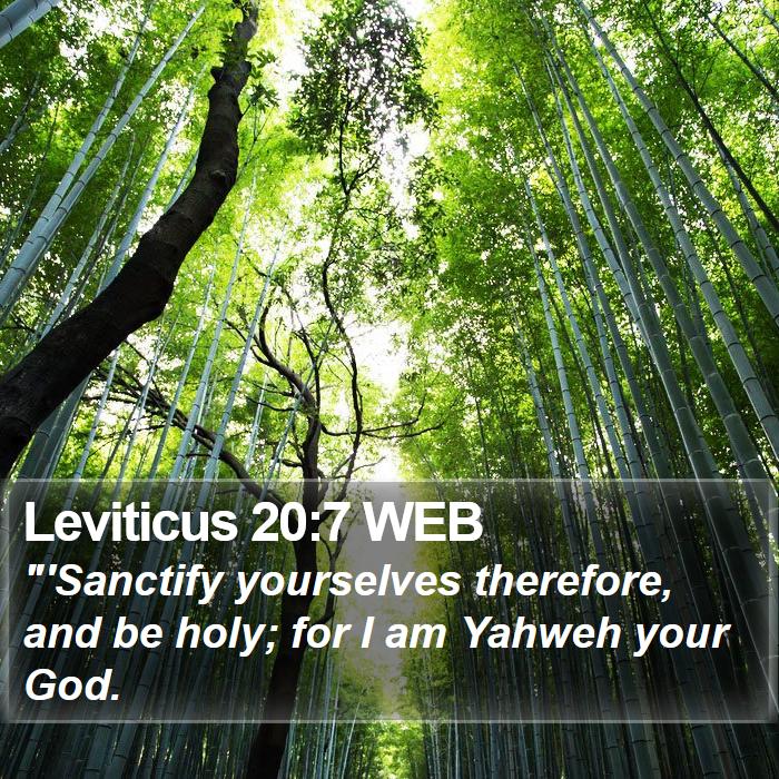 Leviticus 20:7 WEB Bible Study