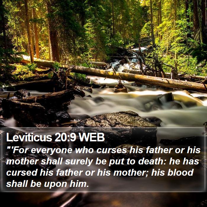 Leviticus 20:9 WEB Bible Study